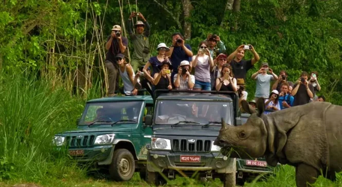 चितवन राष्ट्रिय निकुञ्जमा पर्यटकको आगमन बढ्यो