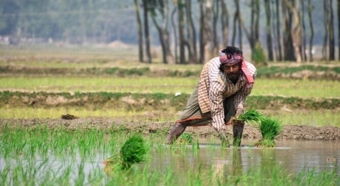 कम्युनिष्टद्धारा सञ्चालित केरला भारतको पहिलो गरिबीमुक्त प्रान्त बन्दै
