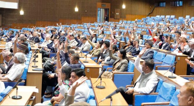 भूमि विधेयक बहुमतले पारित